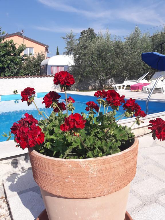 Apartments Angela Žbandaj Екстериор снимка
